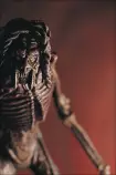 maniacs/[1998-09] Species II ~ Patrick 01.jpg